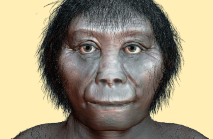 Sır perdesi aralanıyor: Flores Adası ‘Hobbitler’i nasıl yok oldu?