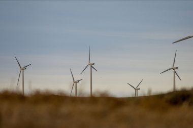 Rüzgar enerjisi projelerini durduran Trump’ı da yargıç durdurdu