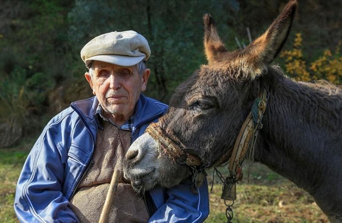 Görme engelli Raif dede 24 yıldır yolunu eşeği ‘Magare’ sayesinde buluyor
