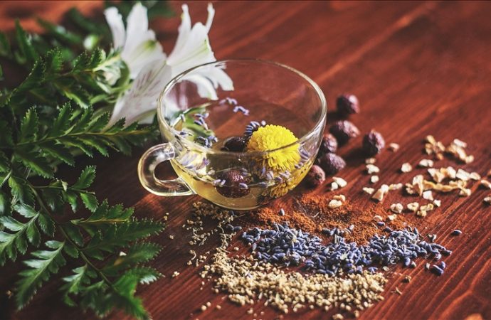 Bitki koruma ürünü satışında elektronik B-Reçete Takip Sistemi zorunlu oldu