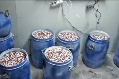 İstanbul ve İzmir’de operasyon: 7 milyon uyuşturucu hap ele geçti