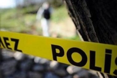 Ava çıktı, domuz saldırısında hayatını kaybetti