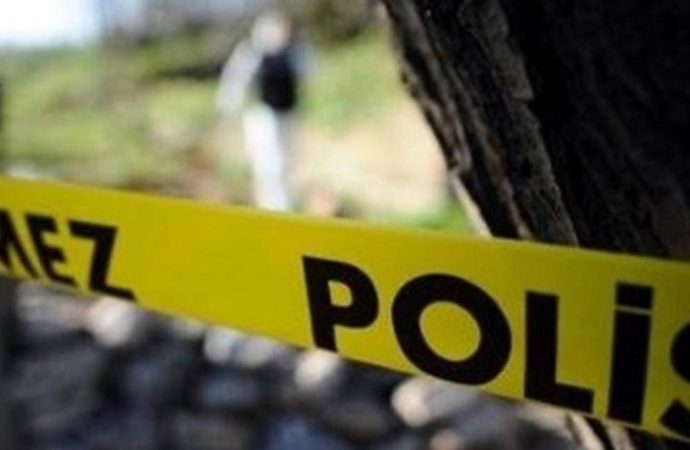 Ava çıktı, domuz saldırısında hayatını kaybetti