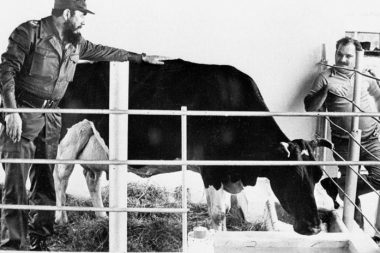 Sosyalizmin şanlı geçmişinden sadece tek bir şanlı hatıra