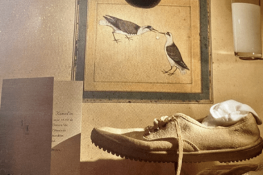 Şeylerin Tesellisi ve Kimlik Yerine Geçirilen Davranışlar