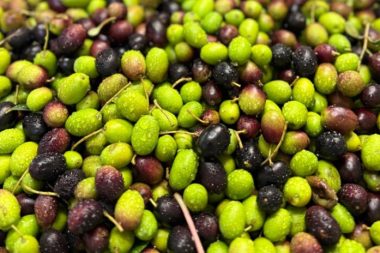 Zeytinyağı’nın Besinsel Sırları 