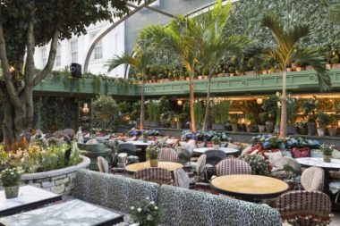 Bir kadın… Bir kulüp… Bir içki… Ve saf kötülük