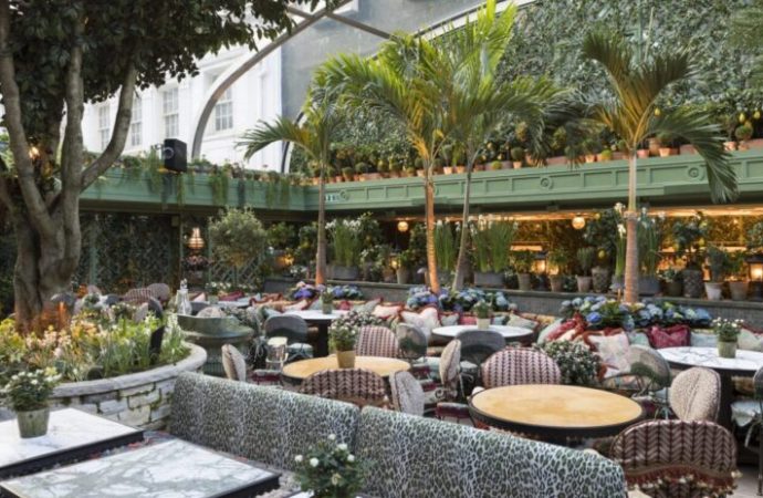 Bir kadın… Bir kulüp… Bir içki… Ve saf kötülük