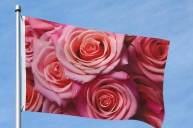 Aşkın gül rengi bayrağını dalgalandıralım hadi