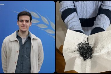 Öğrenci projesi: ‘Peynir altı suyu’ndan ‘çevreci gübre’