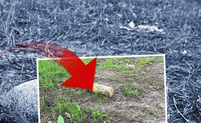 Piknikte bulup 10 gün evde sakladı, müzeye götürünce herkes kaçıştı