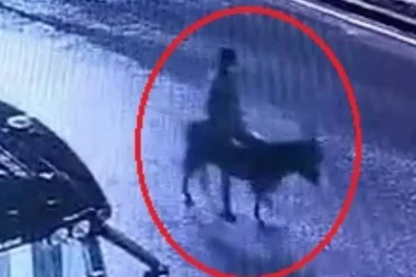 Forkliftle kuyumcu soyup eşekle kaçmıştı, ifadesi ortaya çıktı: Eşeği ahıra bağlayıp altınları samanlığa sakladım