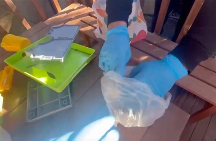 12 ilde çete operasyonları: 109 şüpheli yakalandı