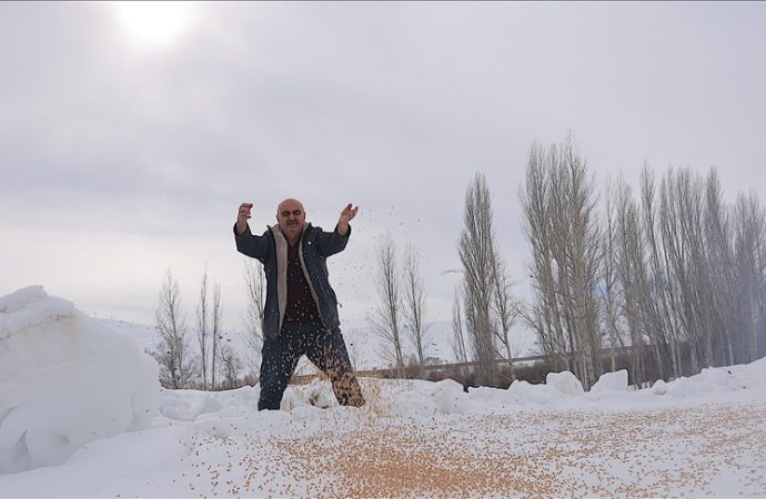 Her kış 10 ton tahılı doğaya bırakıyor: Kuşlar aç kalmasın