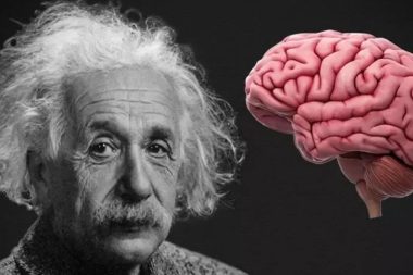 Bu 4 alışkanlık düşük zeka göstergesi