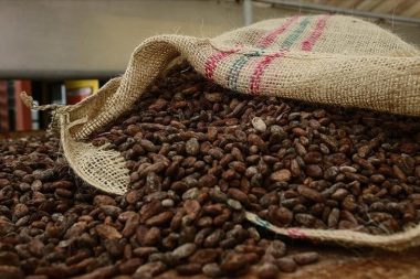 Kakao ihracatında rekor: Türkiye’de üretilmiyor ama 2025’te 1,7 milyar dolar kazandırdı