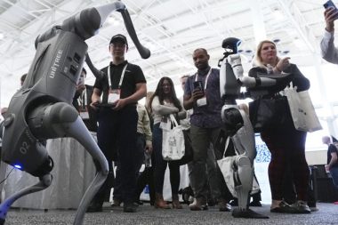 Hindistan’da ‘Yerli’ diye tanıtılan robot köpek Çin malı çıktı