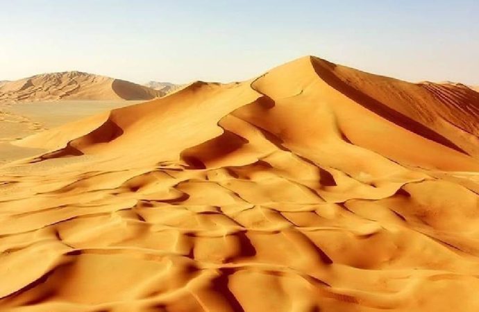 Sırtı bıçaklı dev yaratık: Sahra çölünde keşfedildi