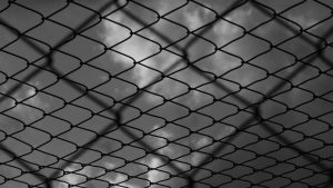 Hapishane incelemeye gelen yabancı heyete gözaltı ve sınır dışı: Dayak iddiası da var