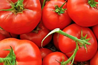 Taste Atlas’a göre en iyi 10 domates: Türkiye’den de var ama Çanakkale’deki değil