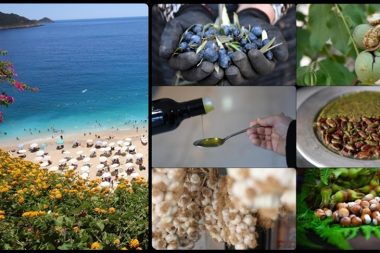 Coğrafi işaret zirveleri: Başvuruda Antalya, tescilde Hatay