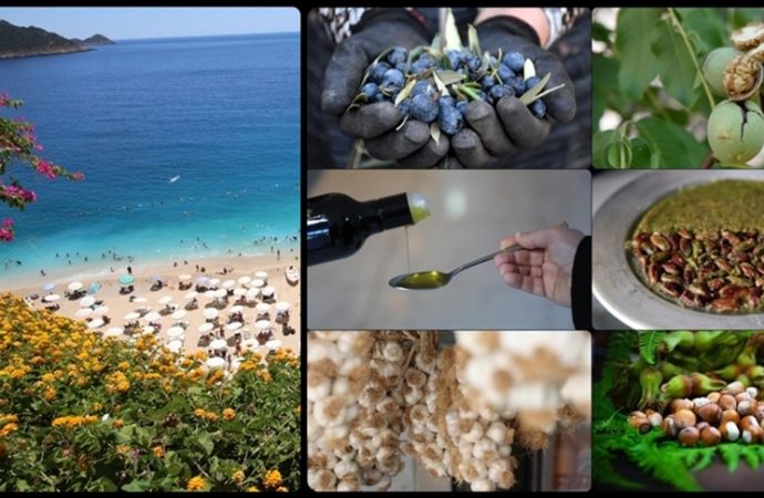 Coğrafi işaret zirveleri: Başvuruda Antalya, tescilde Hatay