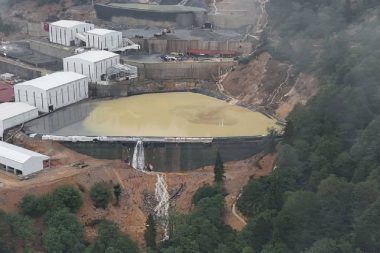 Tire ve Görele’nin fındık ve çayı kurtuldu: Mahkeme maden faaliyetine dur dedi