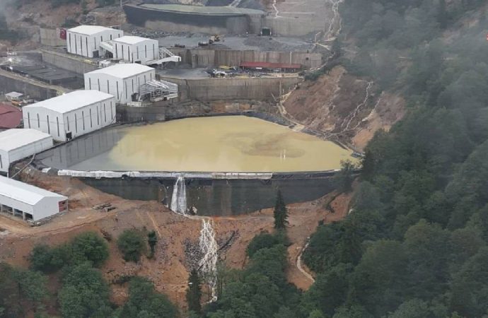 Tire ve Görele’nin fındık ve çayı kurtuldu: Mahkeme maden faaliyetine dur dedi