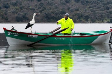 Yaren leylek 15. randevuya da geldi