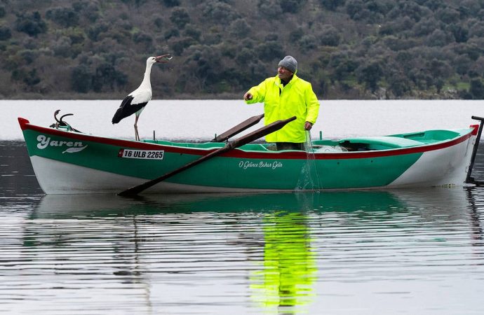 Yaren leylek 15. randevuya da geldi