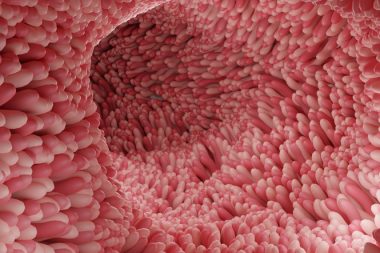 Alzheimer bile oradan başlıyor: Vücudu içeriden yaşlandırıyor