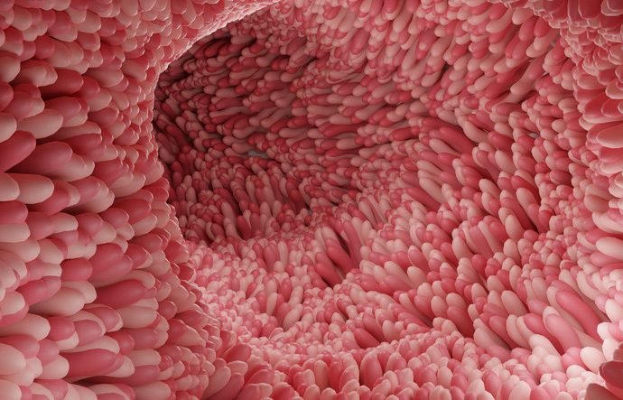 Alzheimer bile oradan başlıyor: Vücudu içeriden yaşlandırıyor