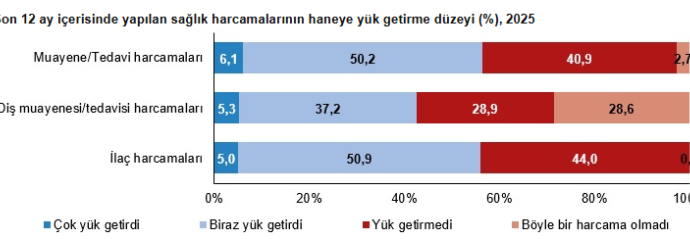 TÜİK verileri de böyle diyor: Sağlık harcamaları bel büküyor