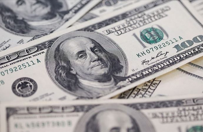 Reel efektif döviz kuru endeksi şubatta 103,17 oldu