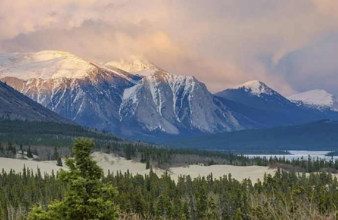 Dünyanın en küçük çölü: Sadece 600 metre genişliğinde