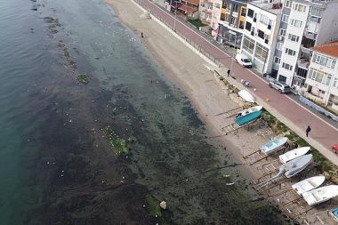 Deniz yedi metre çekildi, ‘Kral yolu’ göründü