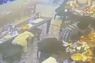 Fıkra değil gerçekten oldu: Yemeğin içinde böcek vardı, böcek müşterinin dudağını ısırdı