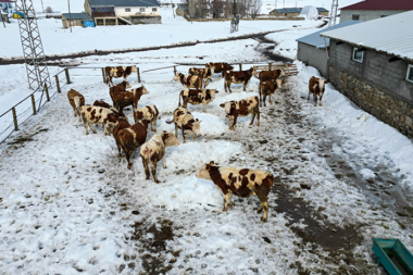 Çalışmaktan sıkılıp köye yerleşti, işten kafasını kaldıramıyor