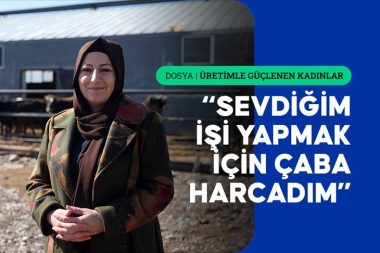 Bankacı kadın köye dönüp baba mesleği hayvancılığa başladı