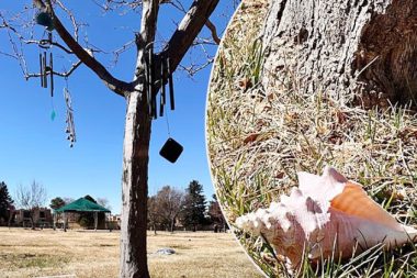 Mezar taşı bile yok ama çocukları 100 milyon dolarlık miras için birbirine girdi