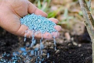 81 ile yazı gitti: 10 yıl önce yasaklanan bomba gübresine izin çıktı