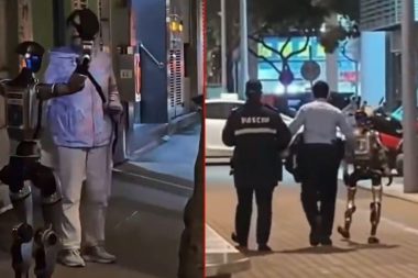 Ona da hukuk gerekecek: Yaşlı kadını korkutan robot gözaltına alındı