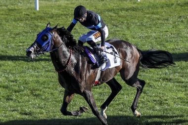 Kavurma yapılan atın sahibine de 132 bin TL ceza kesildi