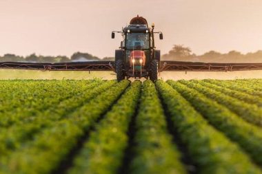 100 milyon lira sermayeli tarım devi battı