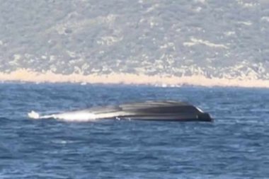 Meis’te Frontex Botu battı: Büyükelçi zor kurtuldu