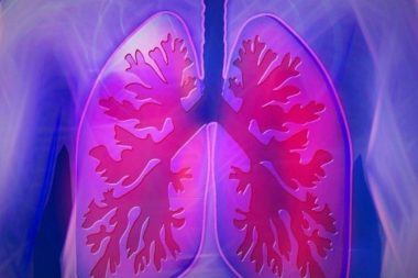 48 saat akciğersiz yaşadı, hayatta kaldı