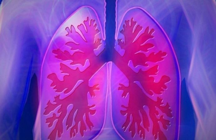 48 saat akciğersiz yaşadı, hayatta kaldı