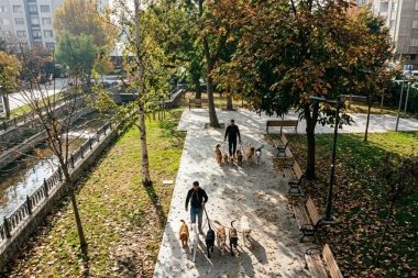 Gezerek ayda 150 bin TL kazanıyor: Gideri yok, kazancı cebine kalıyor