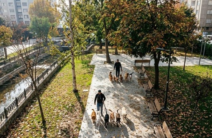 Gezerek ayda 150 bin TL kazanıyor: Gideri yok, kazancı cebine kalıyor