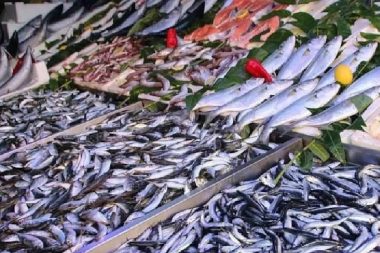 Burun kıvıranı çok ama en sağlıklı balık o